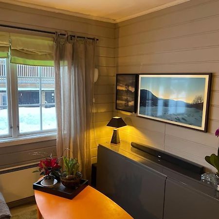 Апартаменты Koselig Leilighet , Med Parkering Og Ski In &Out. Оппдал Экстерьер фото
